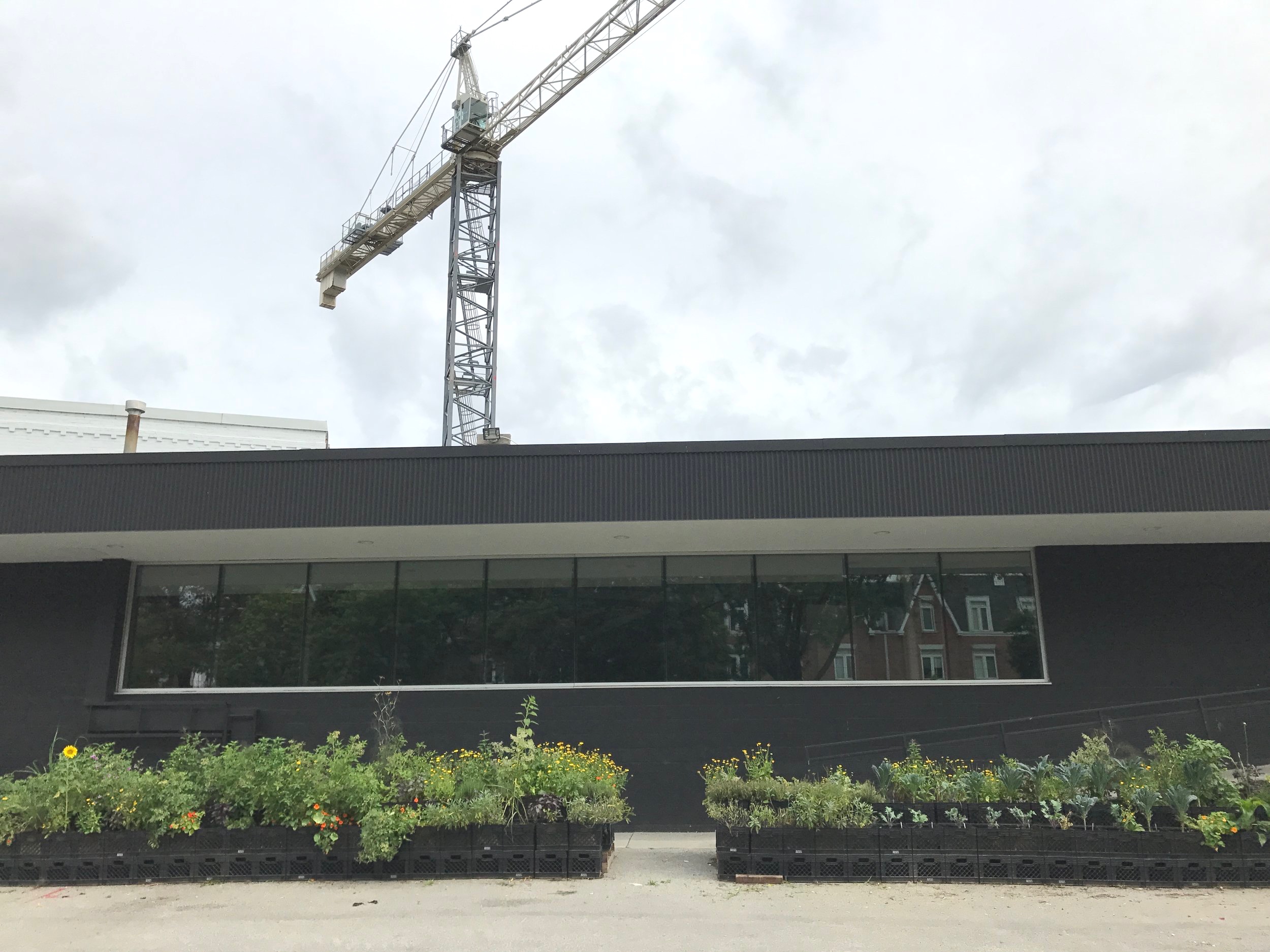 vacant+lots+the+plant.jpg