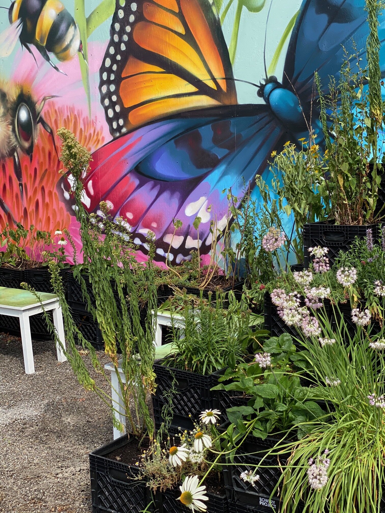 STACKT - Urban Farm and Pollinator Garden Spring Set up