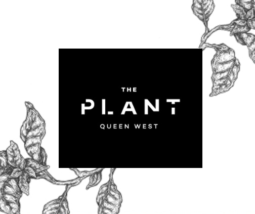 theplant.jpeg