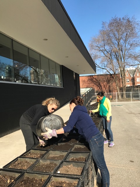 plantplanting.JPG